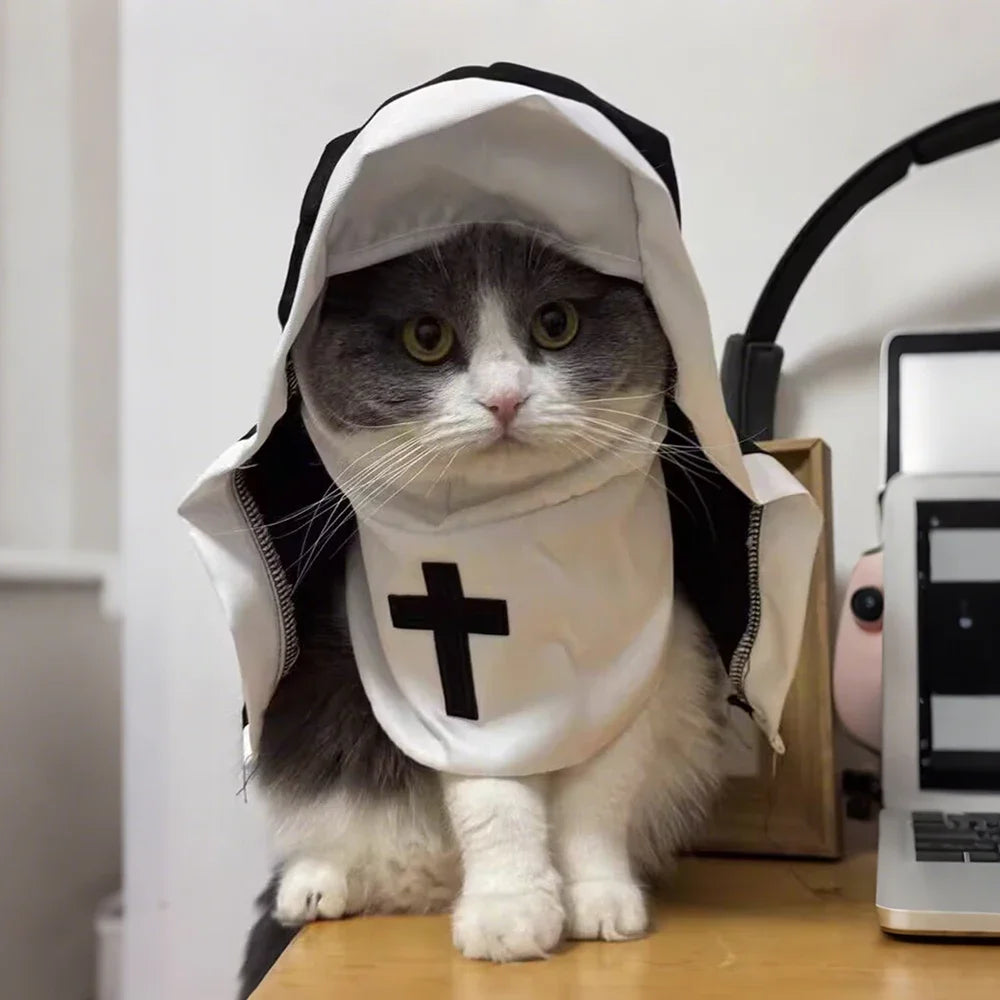 Halloween Pet Costume