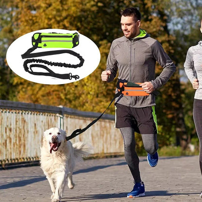 Hands-Free Running Lead for Dogs