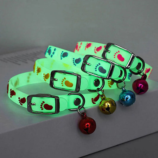 Glow-in-the-Dark Bell Cat Collar - We Wuv Pets