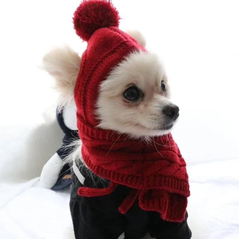 Knitted Winter Hat & Scarf Set for Dogs - We Wuv Pets