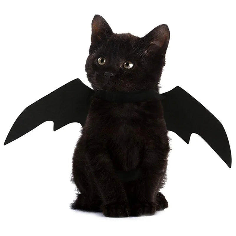 Bat Wings Harness Costume for Cats & Dogs - We Wuv Pets