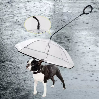 Revolutionary 2023 Pet Umbrella Leash: Rainproof and Snowproof Solution for Small Dogs - Adjustable and Steerable for Ultimate Comfort