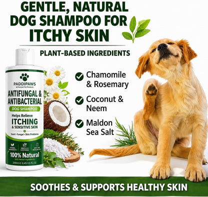 Itchy Dog Shampoo – Antifungal & Antibacterial Dog Shampoo for Sensitive Skin, Helps Relieve Itching, Yeast & Skin Irritation, Natural Dog Shampoo 250Ml