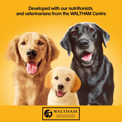 PEDIGREE Mixed Can Selection in Jelly, 24 x 385g - Dog Food with Chicken, Lamb & Beef