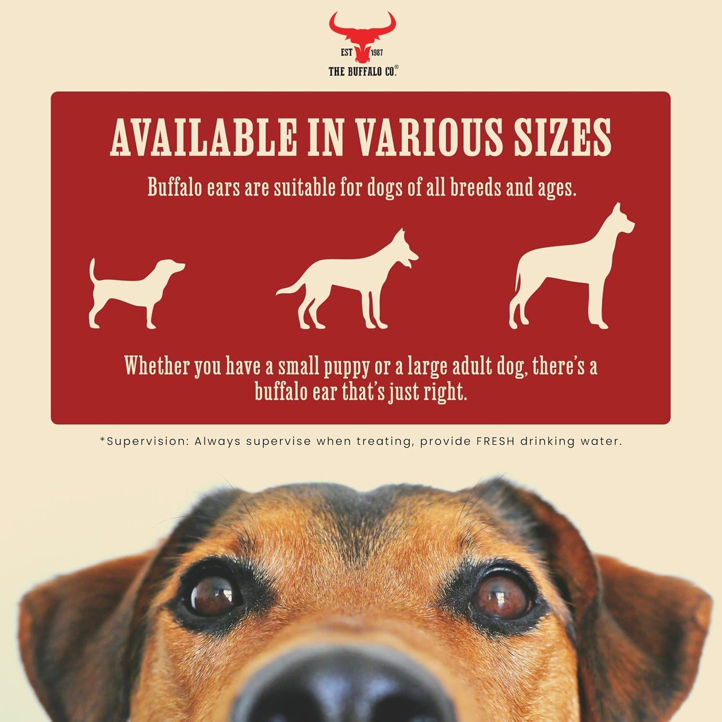 Buffalo Ears for Dogs 20 Pack | Natural Grass-Fed Dog Treats | Ultra Lean 2.5% Fat Dog Chews | Grain Free & Gluten Free | Long Lasting Dental Chew