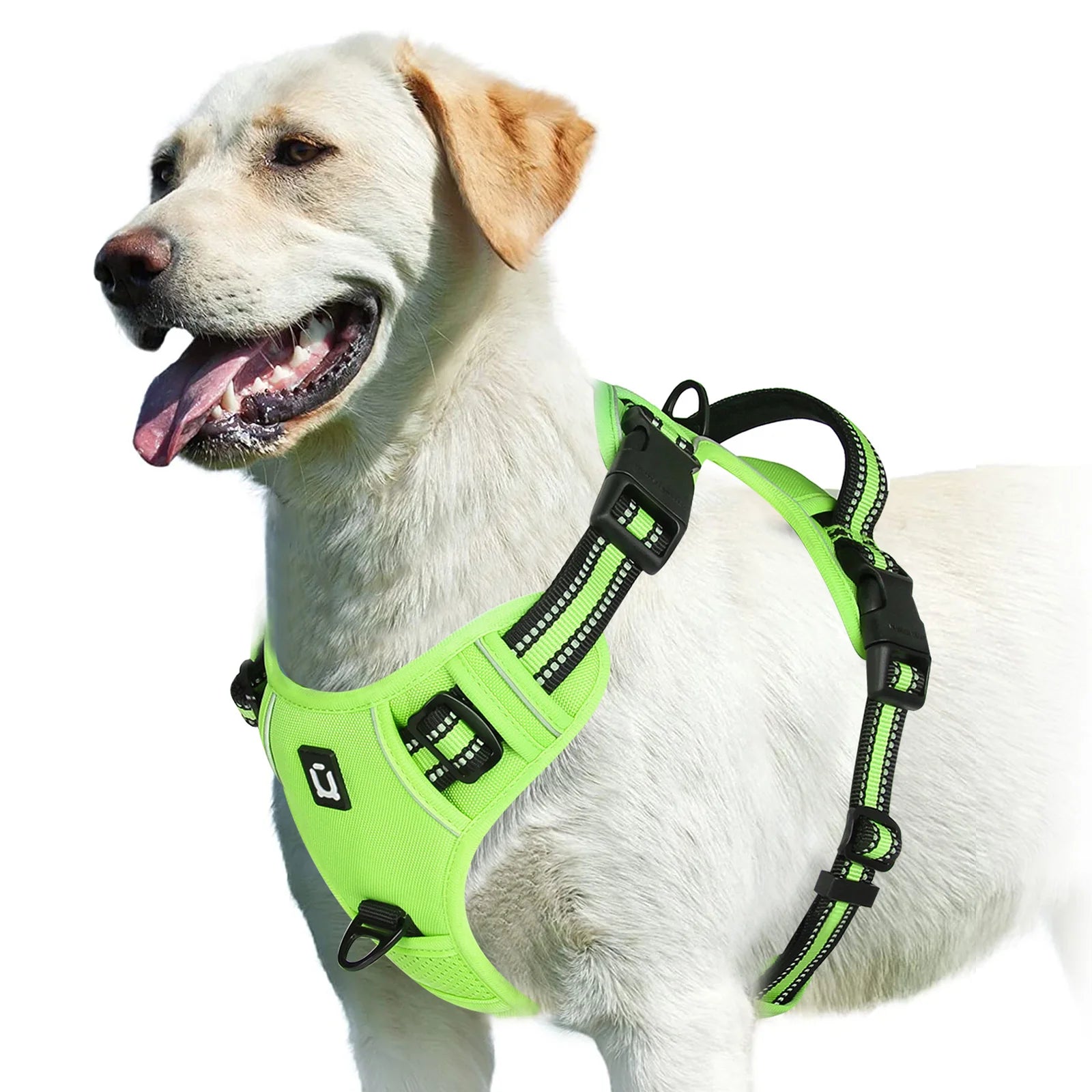 Adjustable Soft Padded No-Pull Dog Harness with Convenient Control Handle