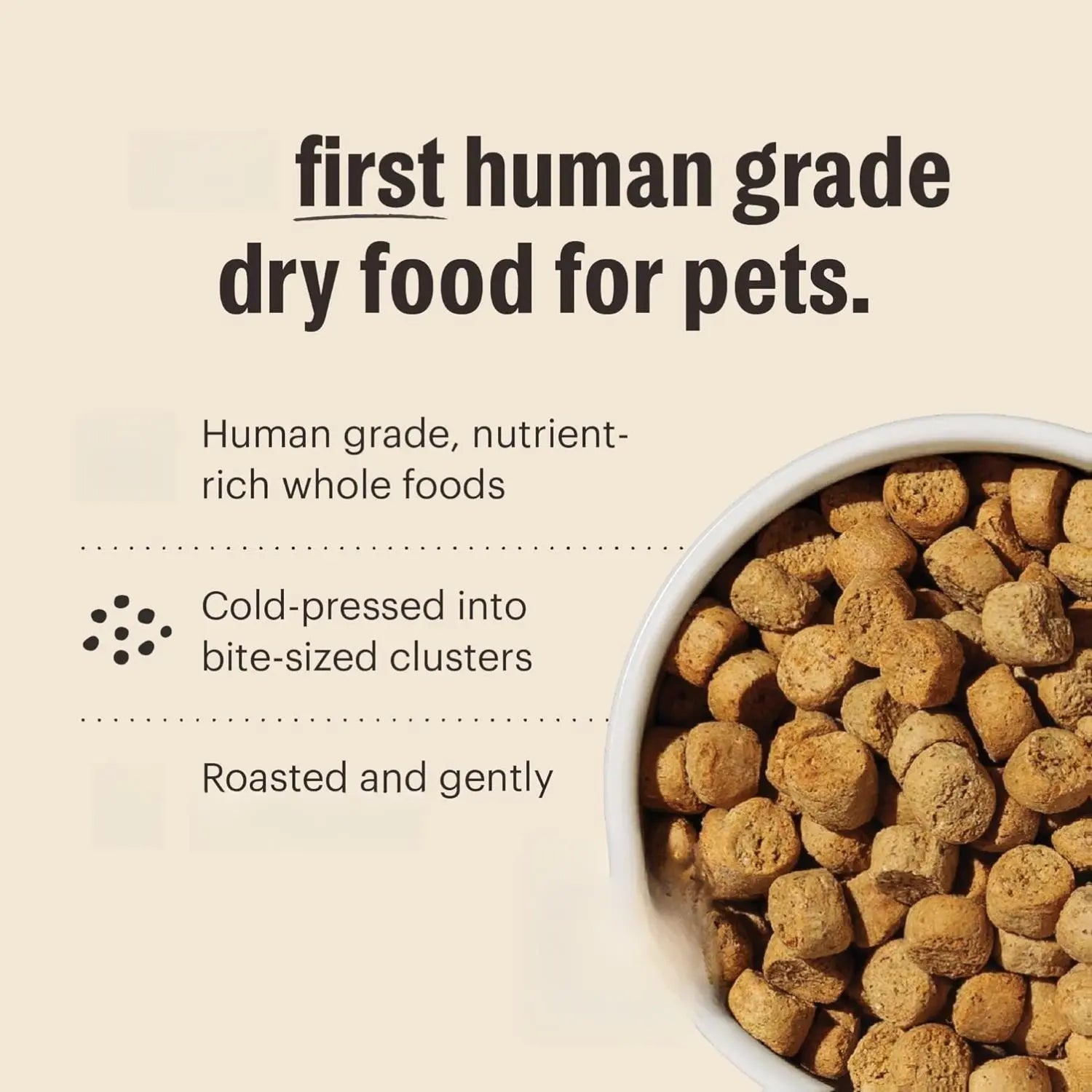 The Honest Kitchen Whole Food Clusters Small Breed Whole Grain Chicken Dry Dog Food - 1 lb Trial Pouch