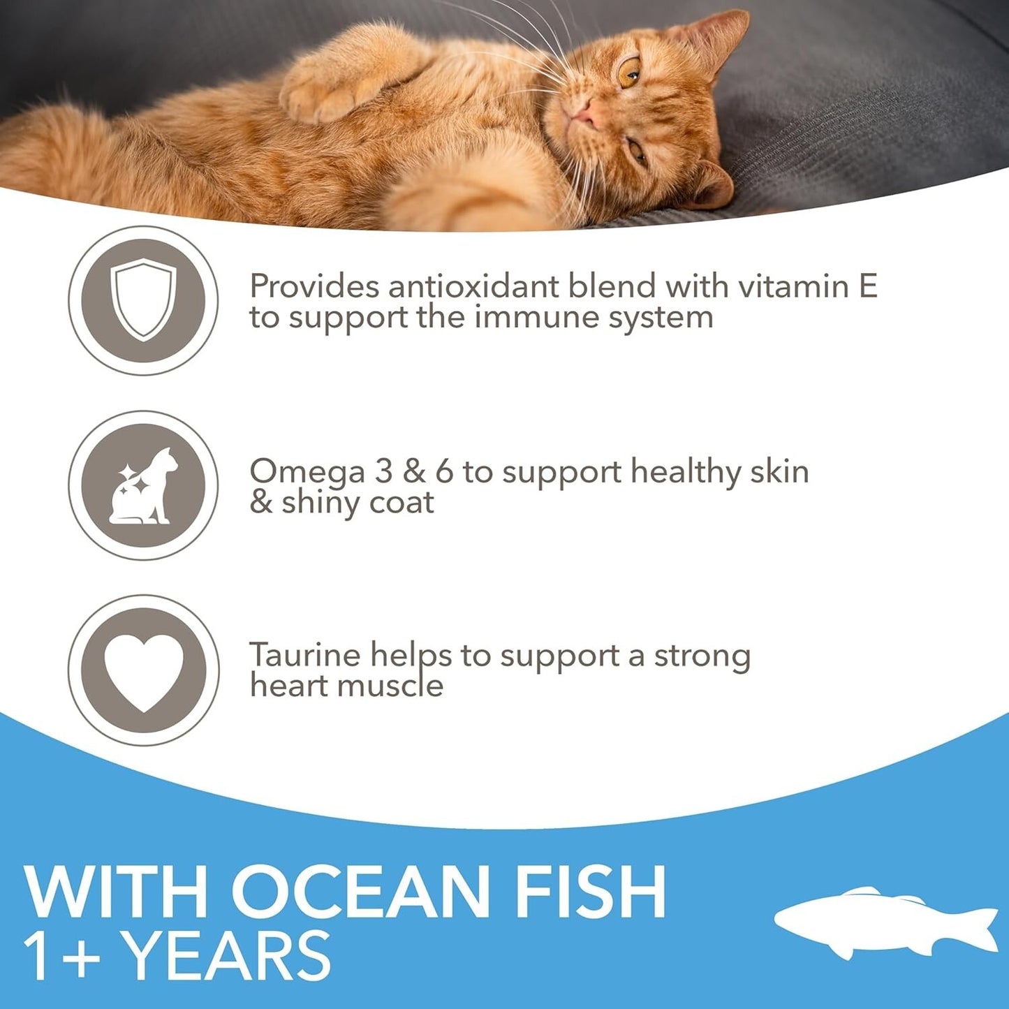 IAMS Complete Dry Cat Food for Adult Cats (1+ Years) with Ocean Fish, 3 kg