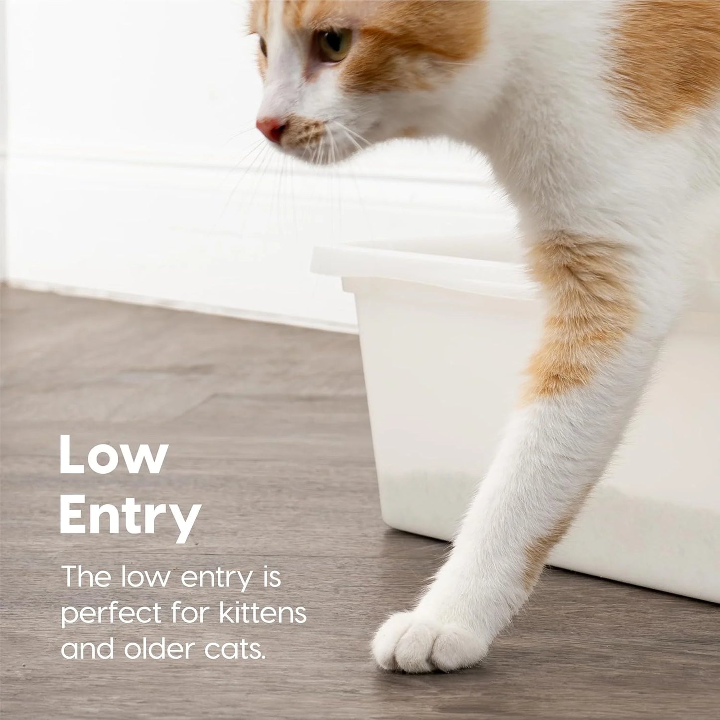 Large Pearl FinishOpen Top Cat Litter Box