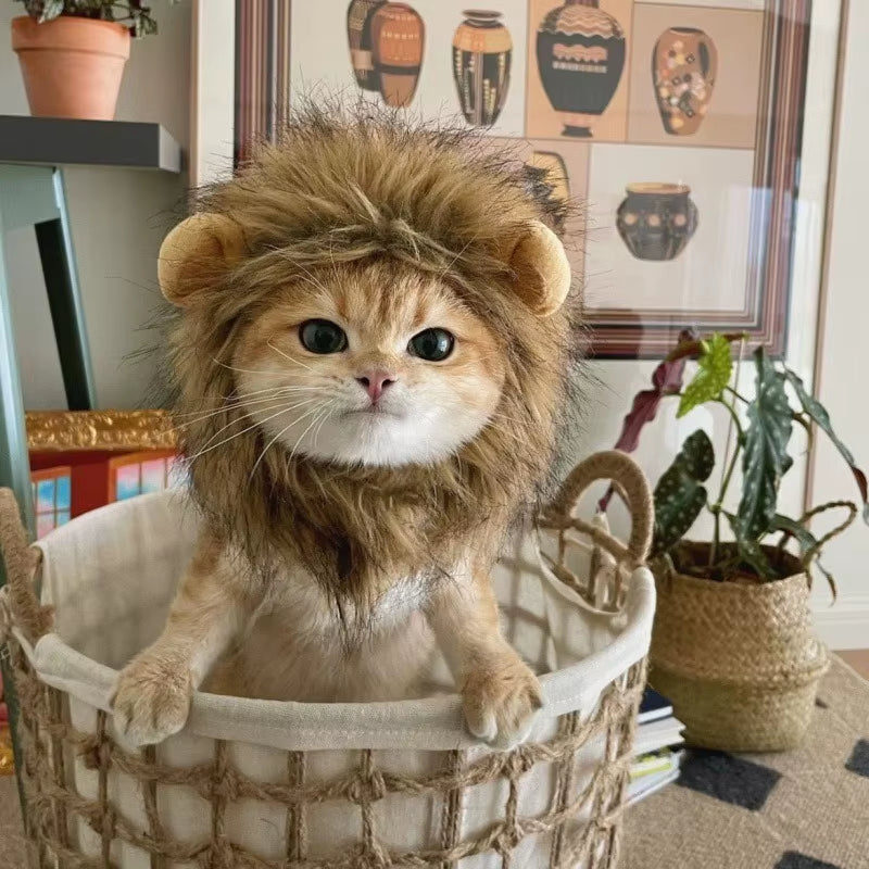 Cat Lion Head Pet Costume Wig Hat - Cute and Funny Decorative Headwear for Halloween