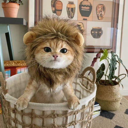 Cat Lion Head Pet Costume Wig Hat - Cute and Funny Decorative Headwear for Halloween
