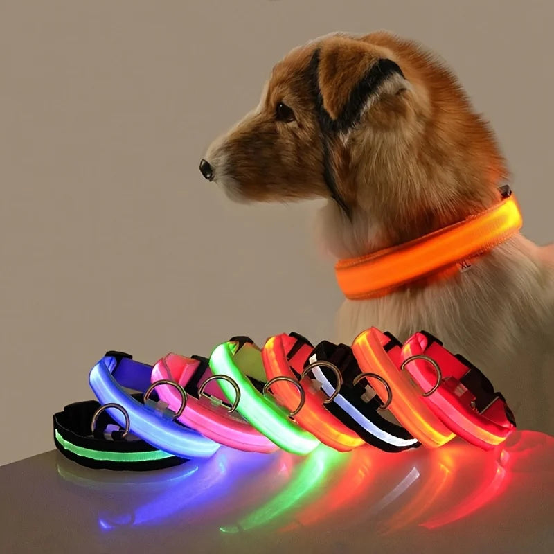 Nylon LED Illuminated Dog Leash and Luminous Fluorescent Collar for Enhanced Night Safety