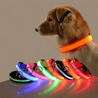 Nylon LED Illuminated Dog Leash and Luminous Fluorescent Collar for Enhanced Night Safety
