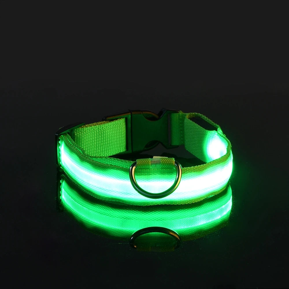 Nylon LED Illuminated Dog Leash and Luminous Fluorescent Collar for Enhanced Night Safety