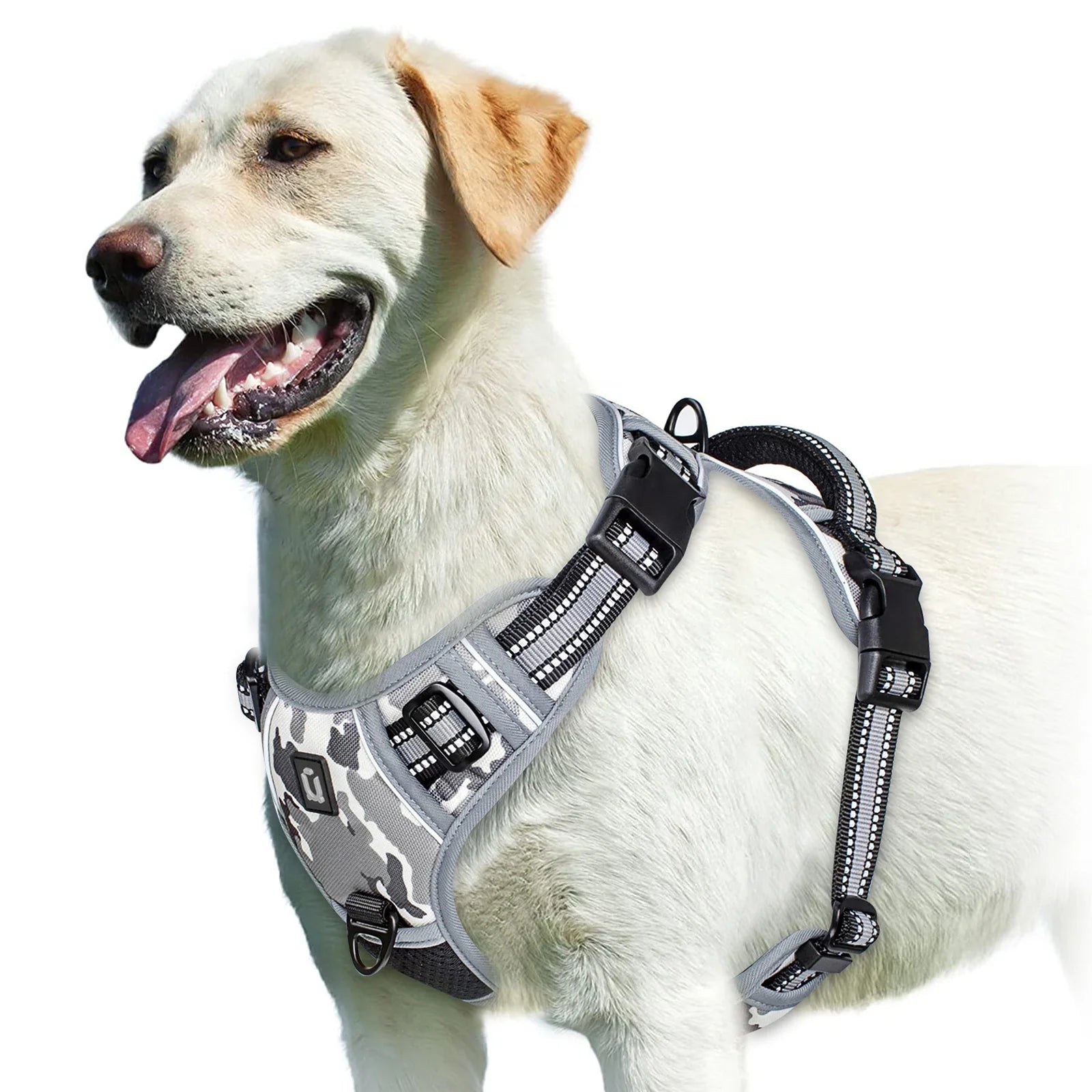 Adjustable Soft Padded No-Pull Dog Harness with Convenient Control Handle