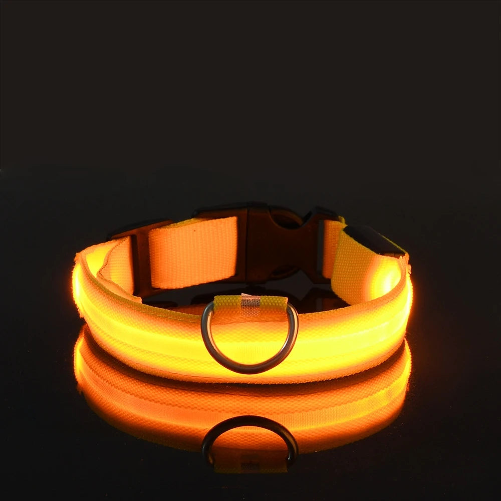 Nylon LED Illuminated Dog Leash and Luminous Fluorescent Collar for Enhanced Night Safety