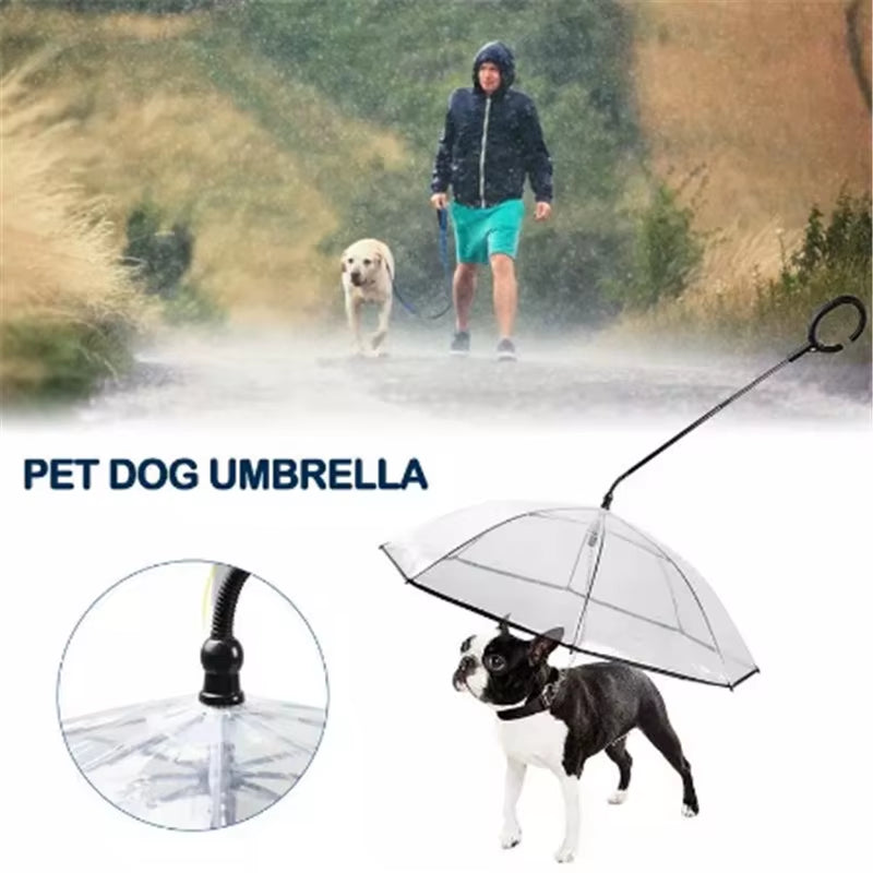 Revolutionary 2023 Pet Umbrella Leash: Rainproof and Snowproof Solution for Small Dogs - Adjustable and Steerable for Ultimate Comfort