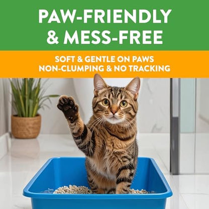 Feline Pine Platinum Non-Clumping Cat Litter - 17 lb